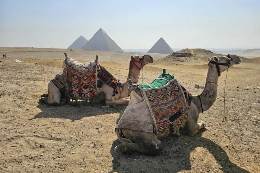 LA CAPITALE DU PAYS (LES PYRAMIDES ET LE VIEUX CAIRE)