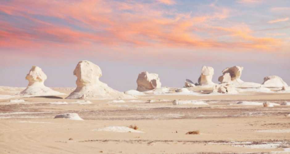 Nasser World Travel agency